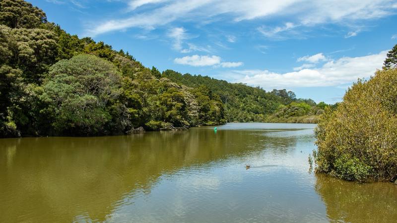 Une rivière bordée de collines boisées sous un ciel bleu à Warkworth, ville néo-zélandaise qui sert de décor à la série