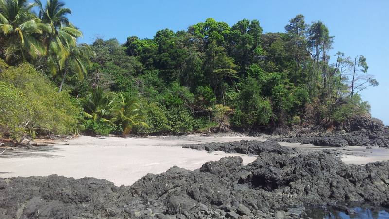 Plage de sable clair entre des rochers noirs et une forêt tropicale sur l'île Cébaco, sur la côte Pacifique du Panama, pays où se tourne la saison des 25 ans. © Patricia forjan, Wikimedia Commons (CC BY-SA 4.0)