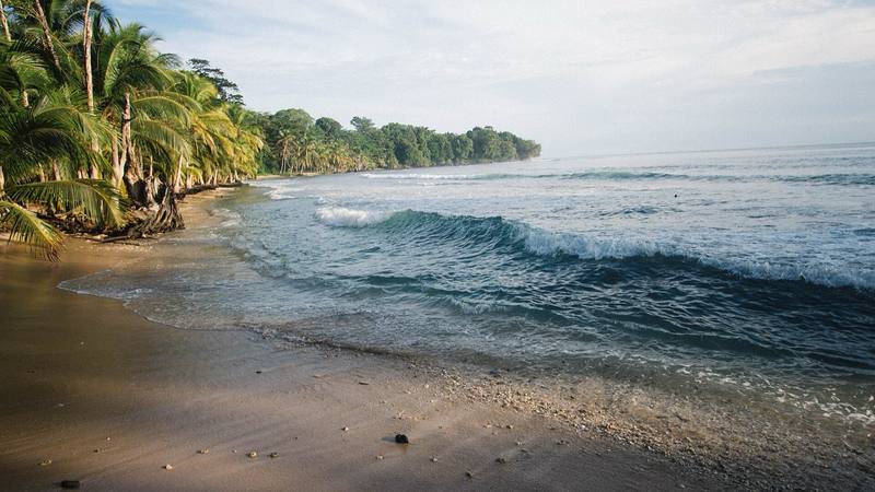 Plage bordée de cocotiers dans la province de Bocas del Toro au Panama, région de la saison de 2003 à laquelle Moussa a participé. © Wikimedia Commons