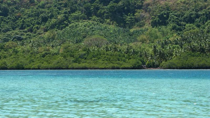 Île tropicale bordée de forêt et de cocotiers au-dessus d'un lagon turquoise, près d'El Nido aux Philippines, pays où s'est tournée La Tribu maudite. © Vyacheslav Argenberg, Wikimedia Commons (CC BY 4.0)