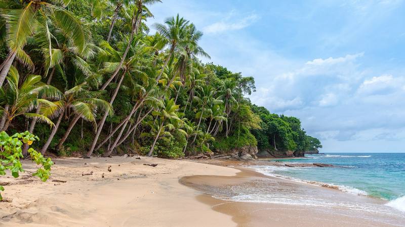 Plage de sable clair bordée de cocotiers sur l'île de Saboga, dans l'archipel des Perles au Panama, pays où se tourne la saison des 25 ans de Koh-Lanta. © Rowan Heuvel, Wikimedia Commons (CC0)