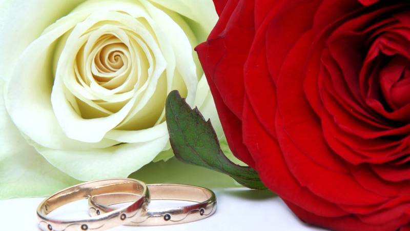 Deux alliances posées sur des roses, symbole des mariages nés de l'émission. © Dako99, Wikimedia Commons