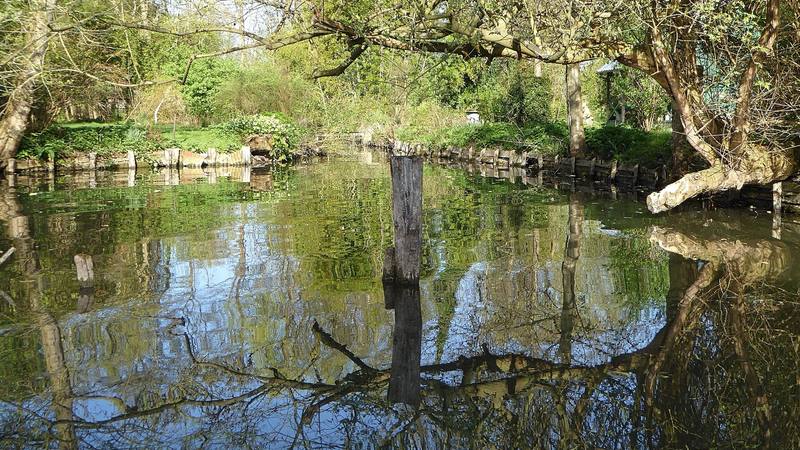 Canal bordé d'arbres et de berges de bois dans les hortillonnages d'Amiens, ville de départ de la traque de Wanted